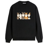 دورس گربه ایرانی