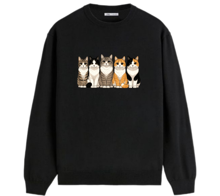 دورس گربه ایرانی